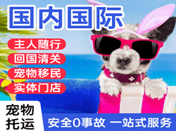 泸州云龙航空快运国际宠物托运 【国